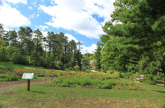 Ann-Arbor-Arboretum