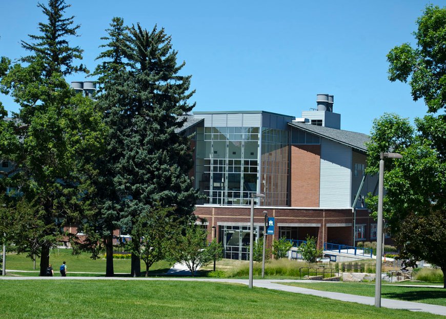 Montana State University