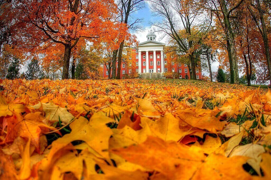 Wittenberg University