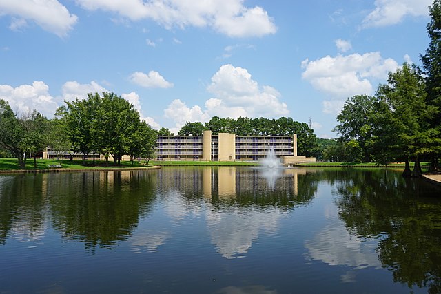 Stephen F Austin State University