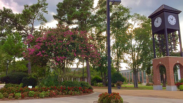 Coastal Carolina University