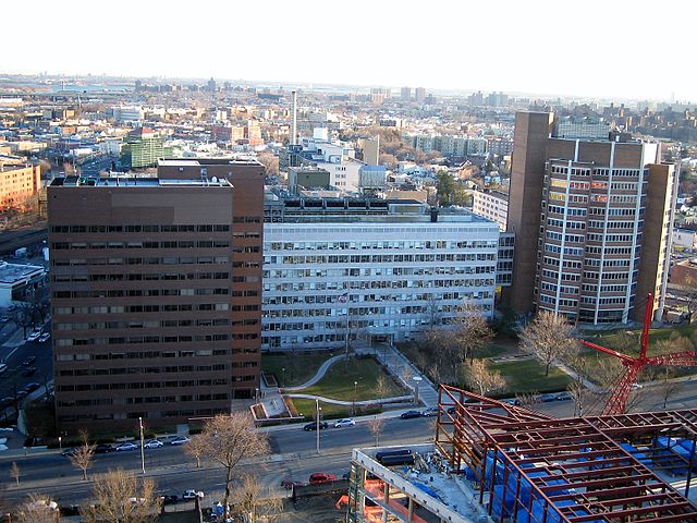 Albert Einstein College of Medicine