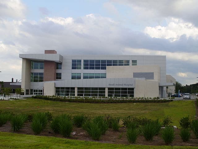 University of Florida College of Veterinary Medicine