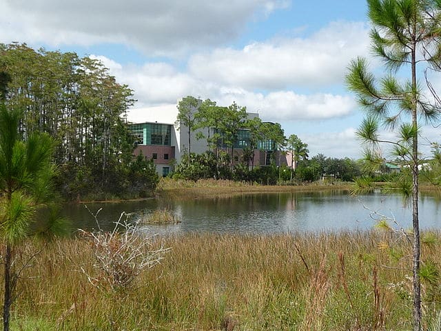 Florida Gulf Coast University