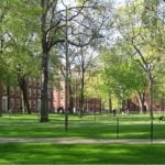 Harvard University