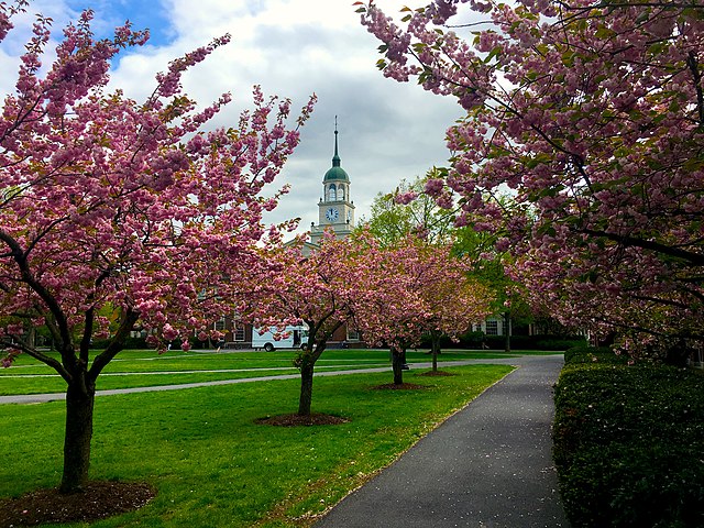 Bucknell University