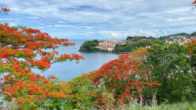 Medical School in the Caribbean