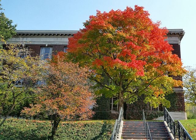 SUNY College of Environmental Science and Forestry