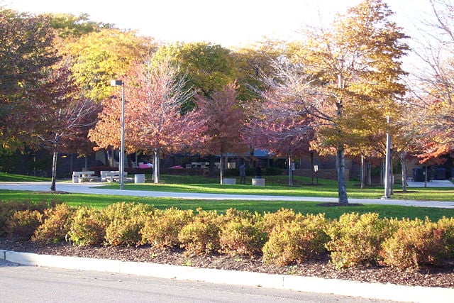 University of Illinois Chicago