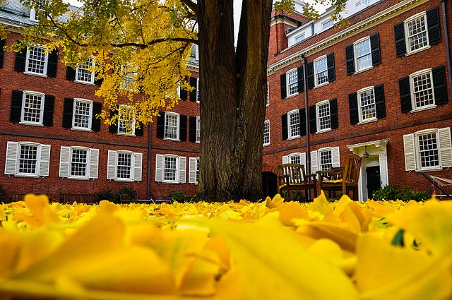 Yale University