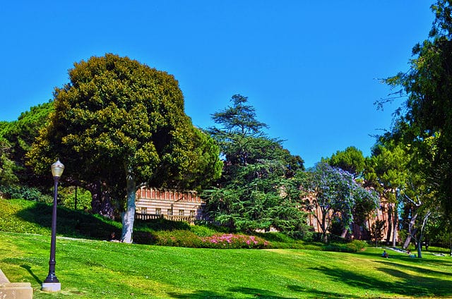 UCLA Campus