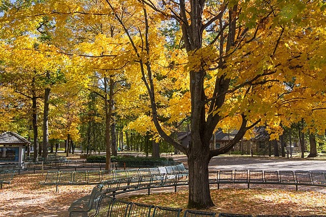 Interlochen Arts Academy