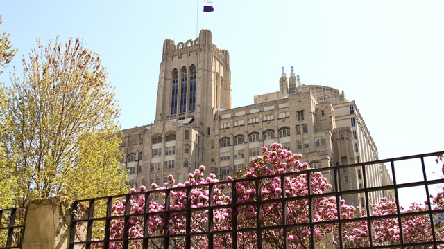 Northwestern University Feinberg School of Medicine