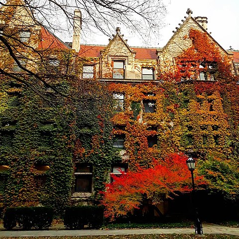 University of Chicago