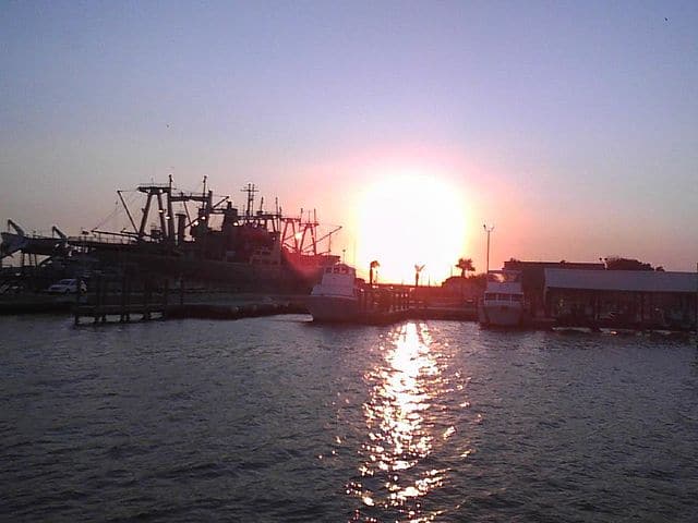 Texas A&M Maritime