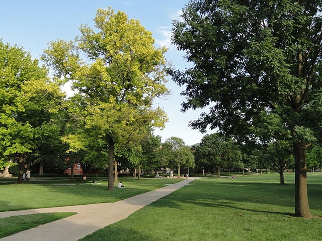 UIUC Campus Quad