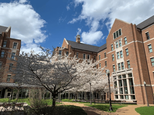 Vanderbilt University