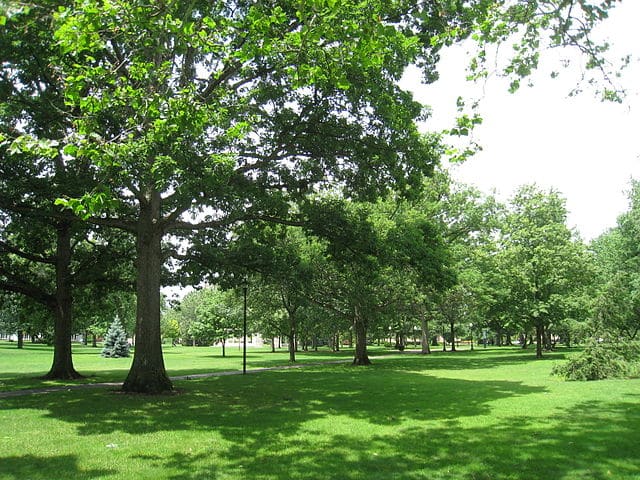 Oberlin College Campus