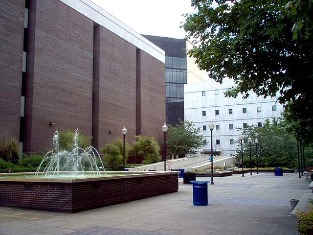 Georgia State University